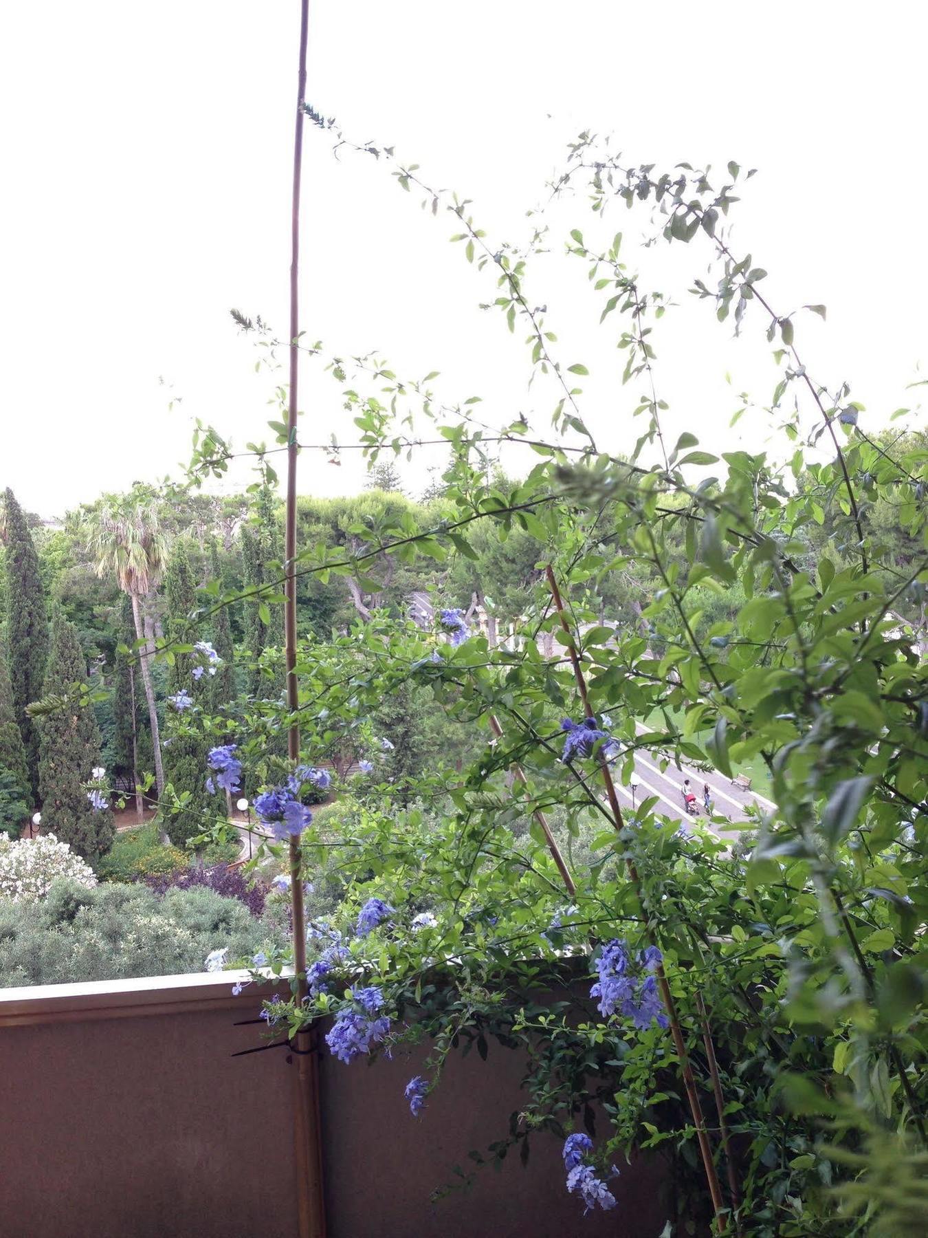 Larala' Bed and Breakfast Lecce Buitenkant foto
