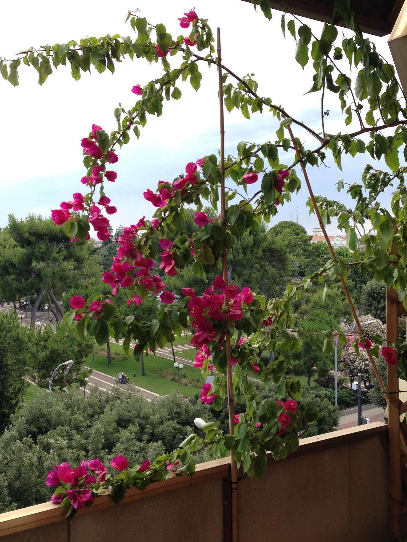 Larala' Bed and Breakfast Lecce Buitenkant foto